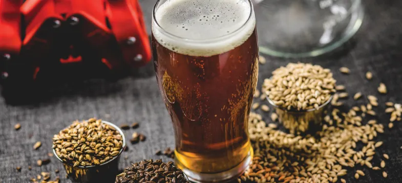  啤酒發(fā)酵過程大揭秘！vAPCI+CMS 聯用新技術如何快速捕捉風味密碼？